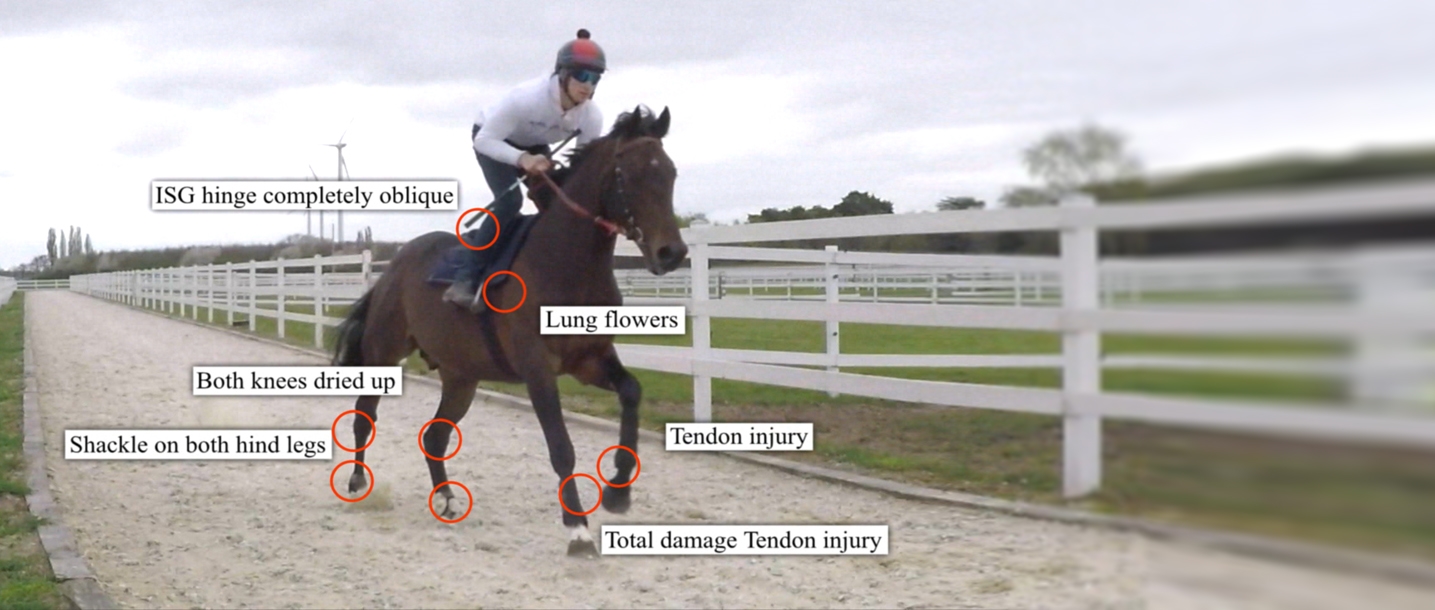 Ametrin Schaeden Buehne